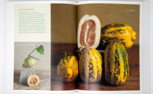 Melons for the Passionate Grower - Pages 102-103