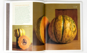 Melons for the Passionate Grower - Pages 26-27