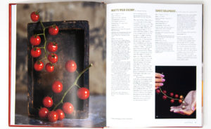 The Heirloom Tomato - Pages 34-35