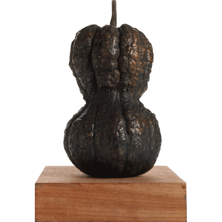 Shishigatani Squash Amy Goldman Fowler